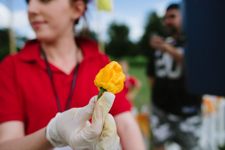 Dorset Commercial Photographer Chilli Festival 17