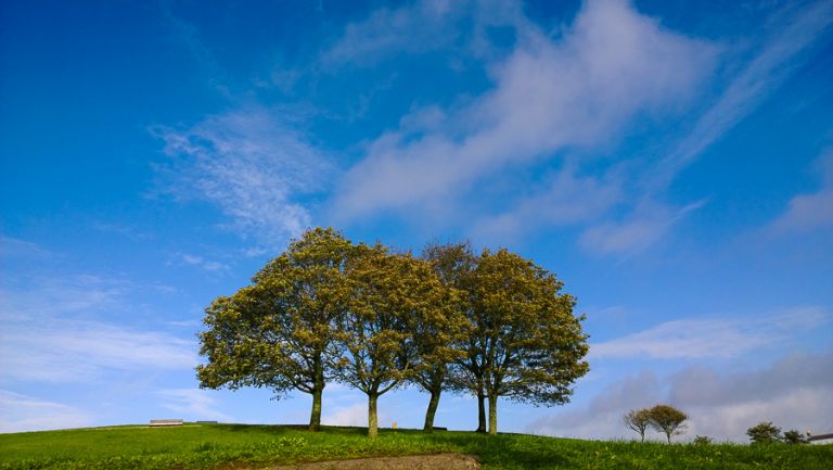 nokia lumia 1020 lamdscape