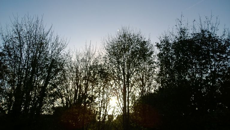 nokia lumia 1020 lamdscape