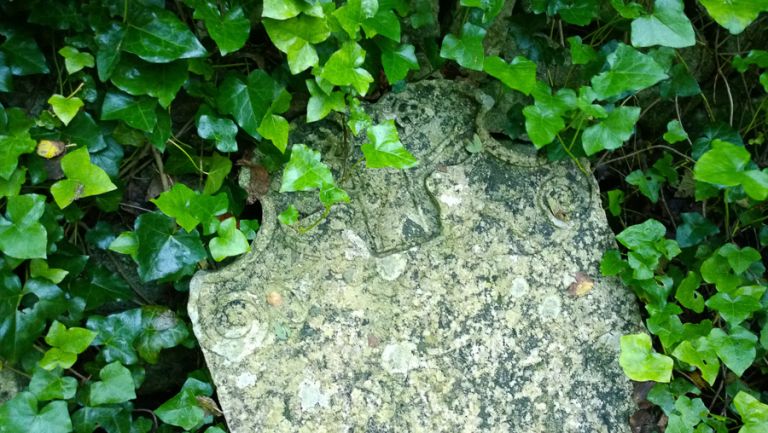 nokia lumia 1020 lamdscape